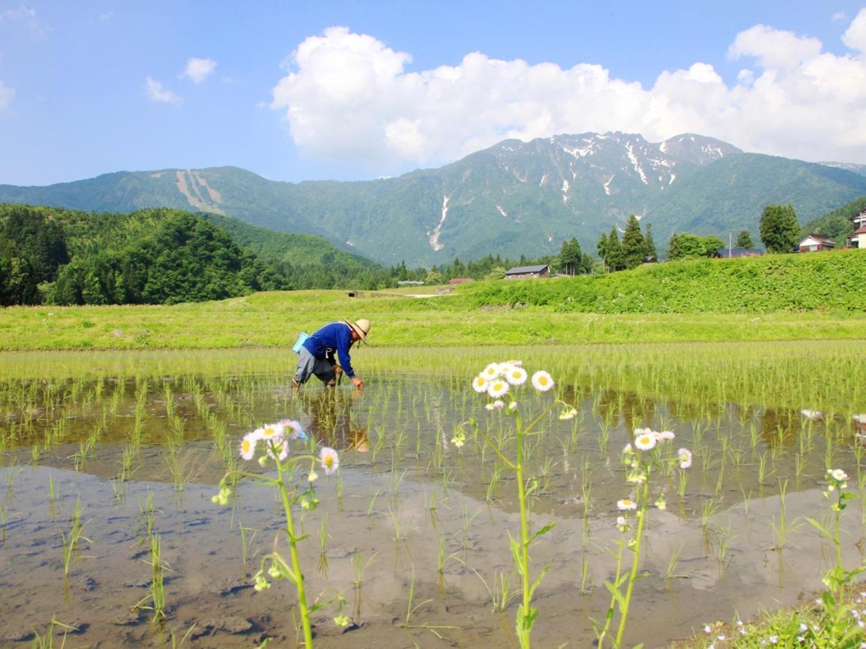 Koshijisou Hotel Niigata Luaran gambar